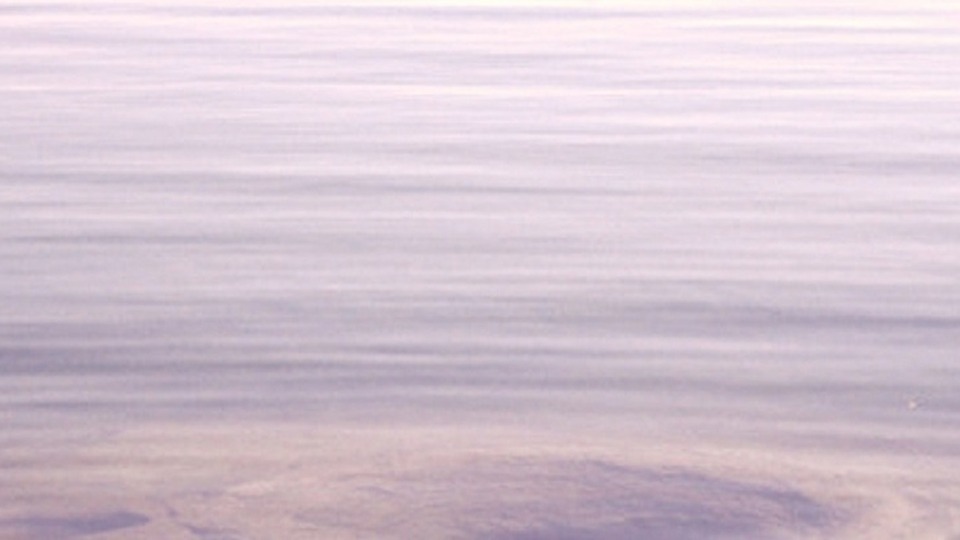 Unlimited Monthly Online Classes