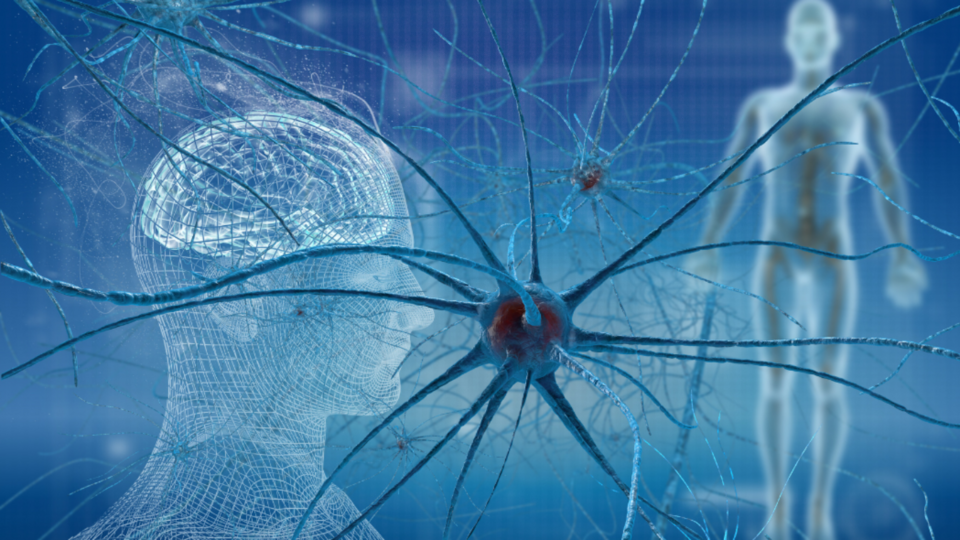 Intro to Pain Reprocessing Therapy
