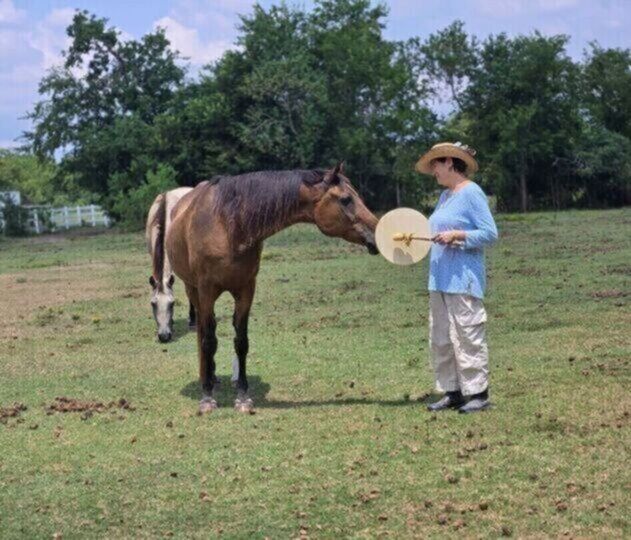 Equine Assisted Services Demonstration