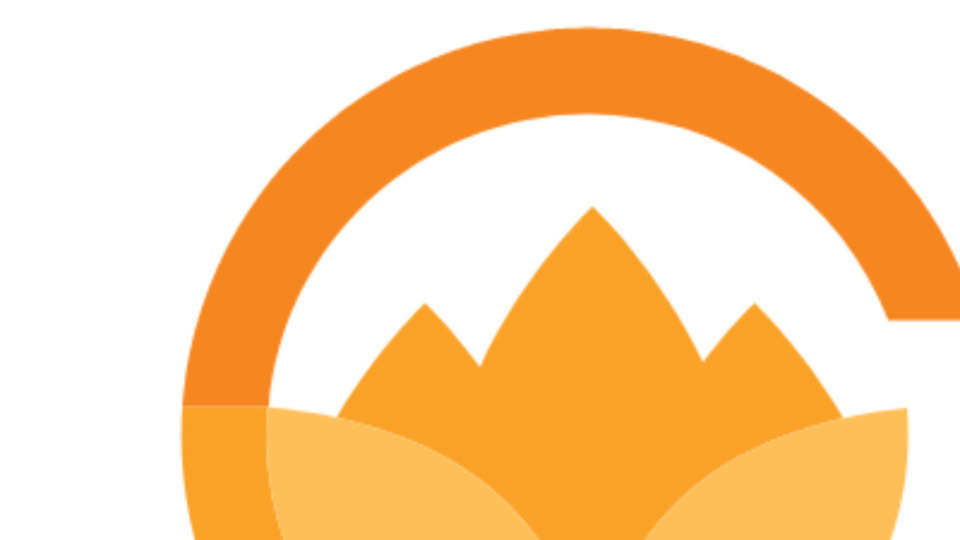 Drop-In / Single Class