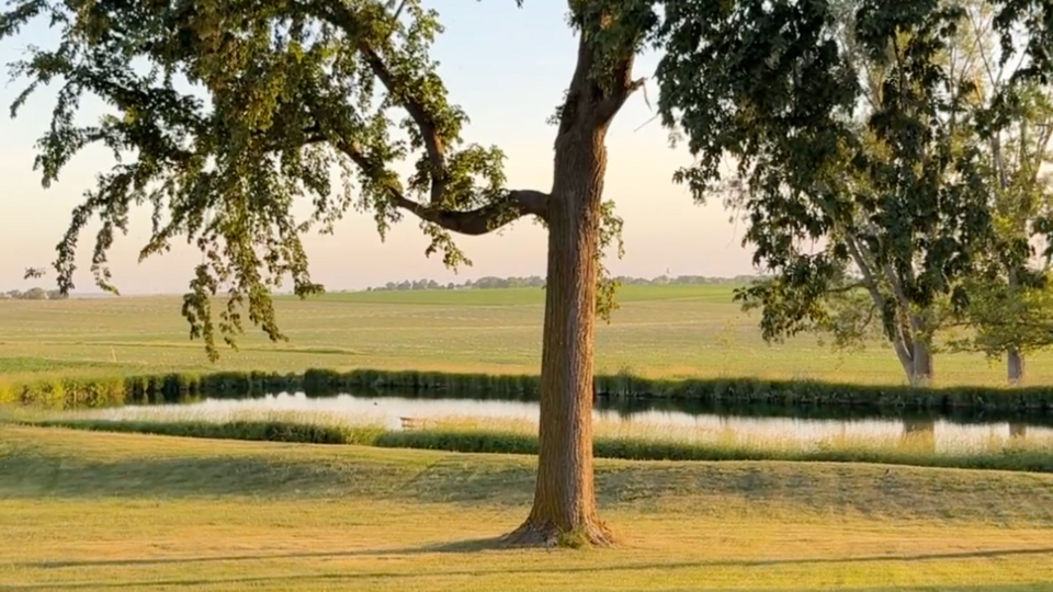 Summer Sound Bath on the Water: Honoring Solstice Season