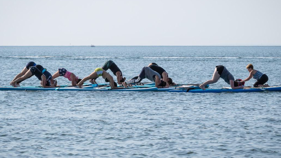 Stand Up Paddleboard Yoga Teacher Training