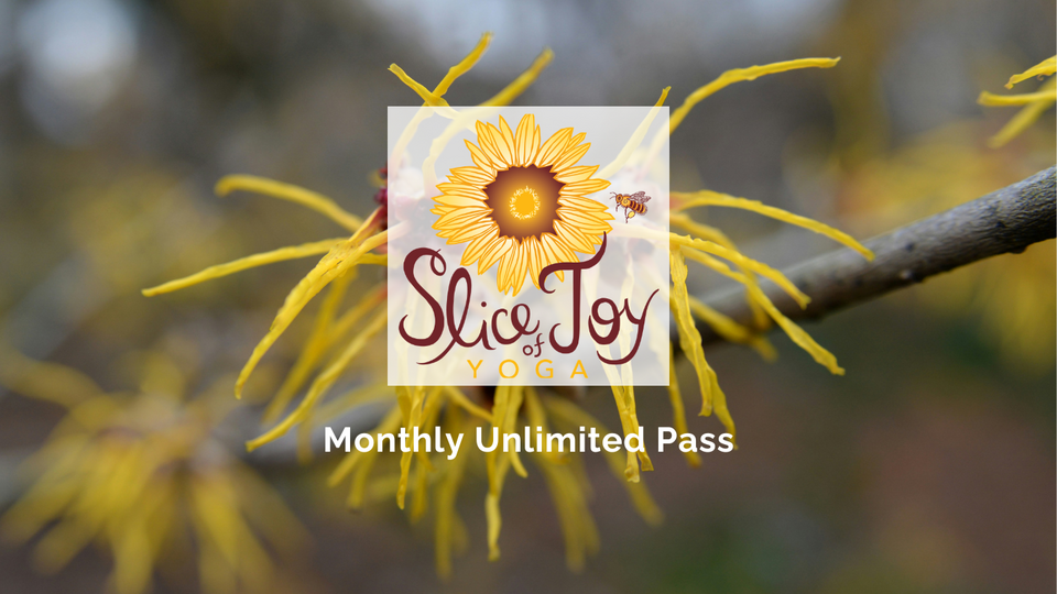 Monthly Unlimited Pass