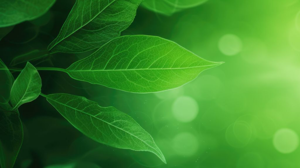 1 Hour 15 Mins Private Yoga x 45