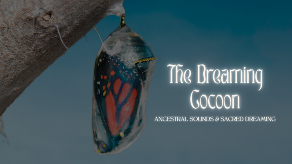The Dreaming Cocoon
