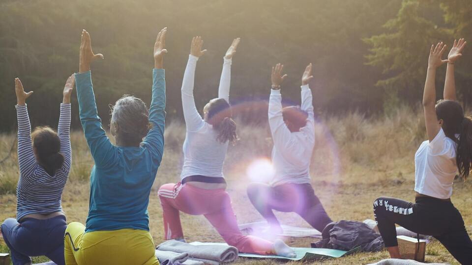 Plant Energy Yoga In-Person