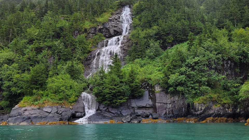 Introductory Offer 1 Month for $15