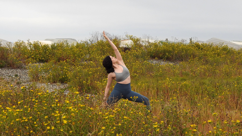 All-Access Monthly Membership