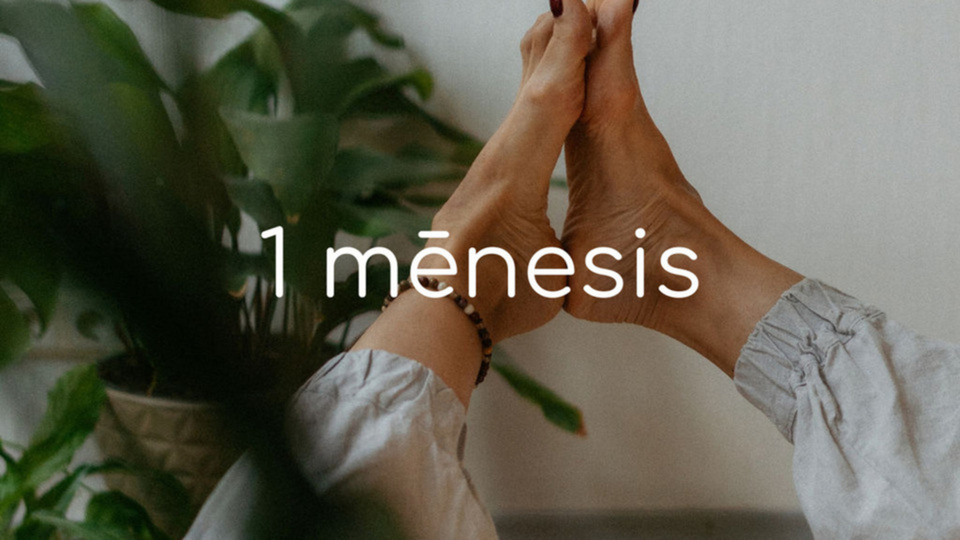 1 mēnesis
