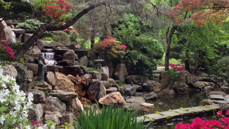 Student Discount Membership