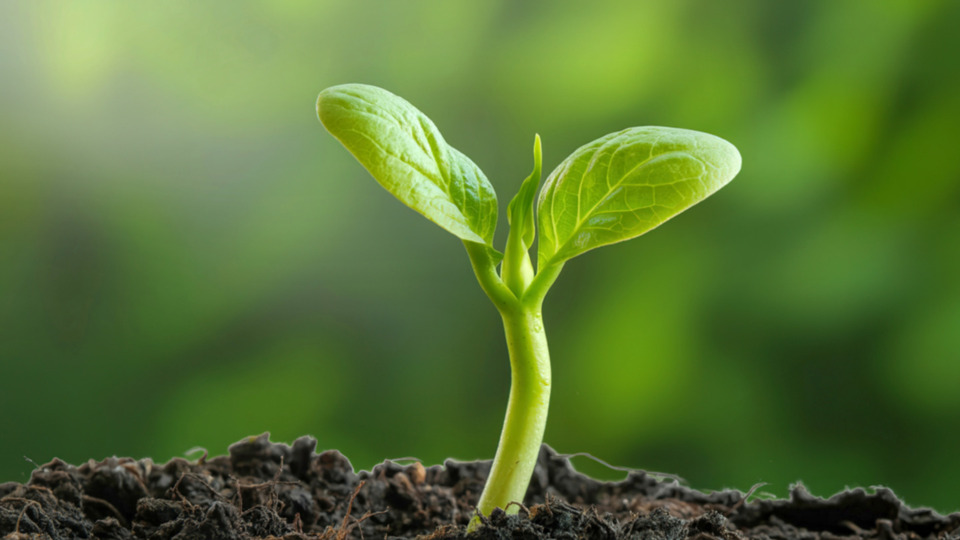 Two-Class Monthly Membership