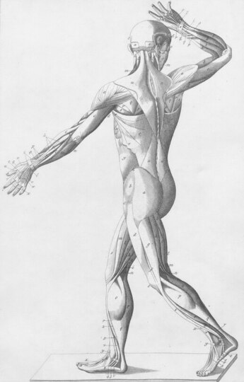 Offering Image