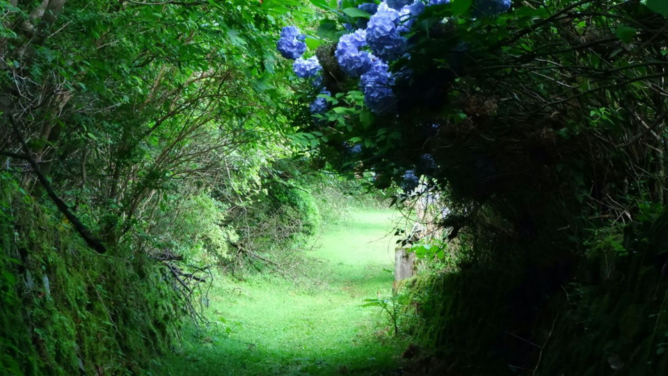 (Intro offer)  Aligned within: 1:1 Coaching for Conscious Living (3 sessions)