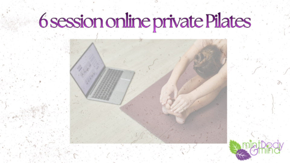 6 session Private Pilates - online only
