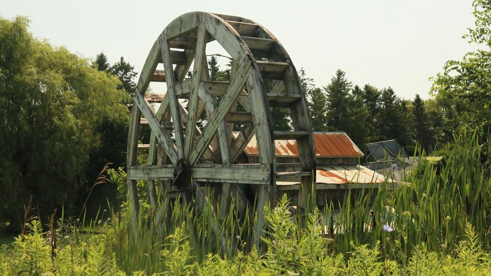 Buy Five, Get One Free Yoga Bundle 