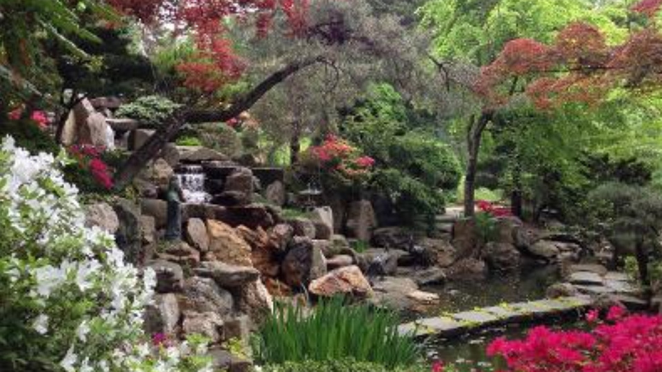 7 Day Video Library Pass