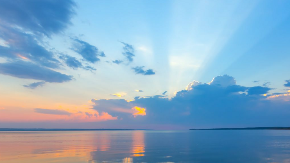 Semi-Private + Online Access