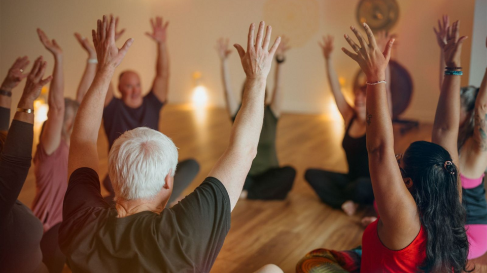 Wild Daisy Yoga One Year Mentorship - Monthly Payment Plan - FOUNDER