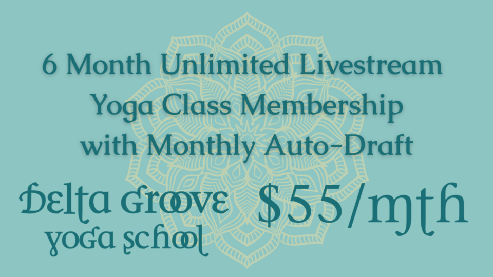 6 Month - Unlimited Livestream Yoga Class Membership 