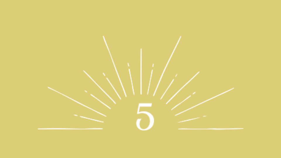 5 Class Package Reformer