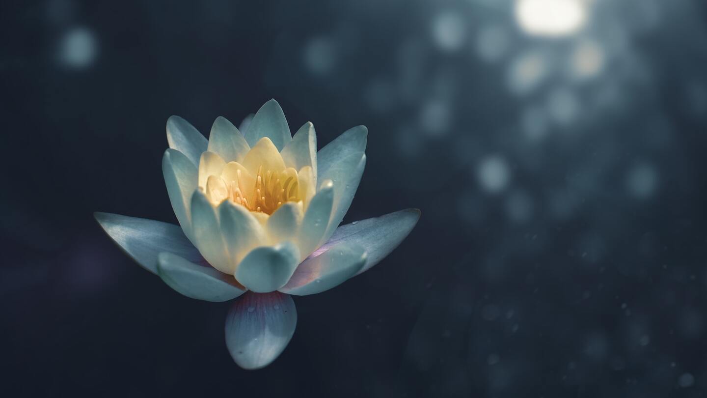 Yoga Nidra: Satya — Resting in What is True