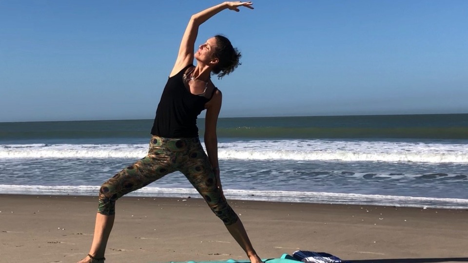 STUDIO & ONLINE videobibliotek