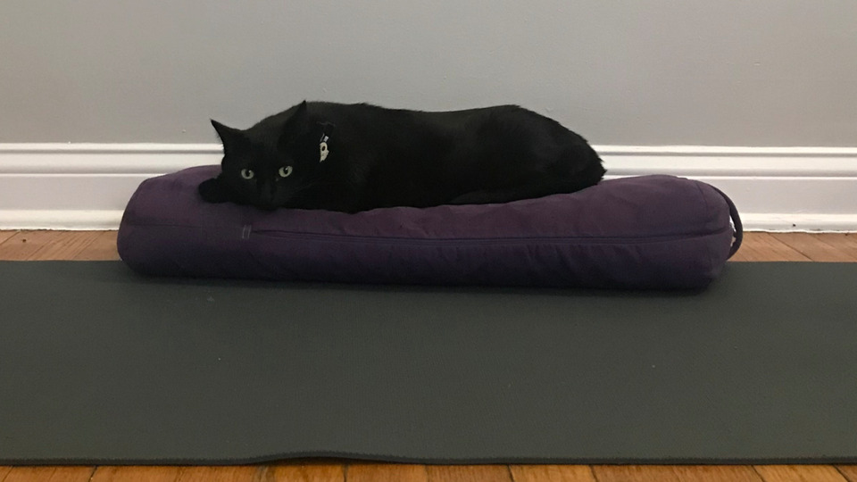 10 One Hour Private Yoga Session | In Home