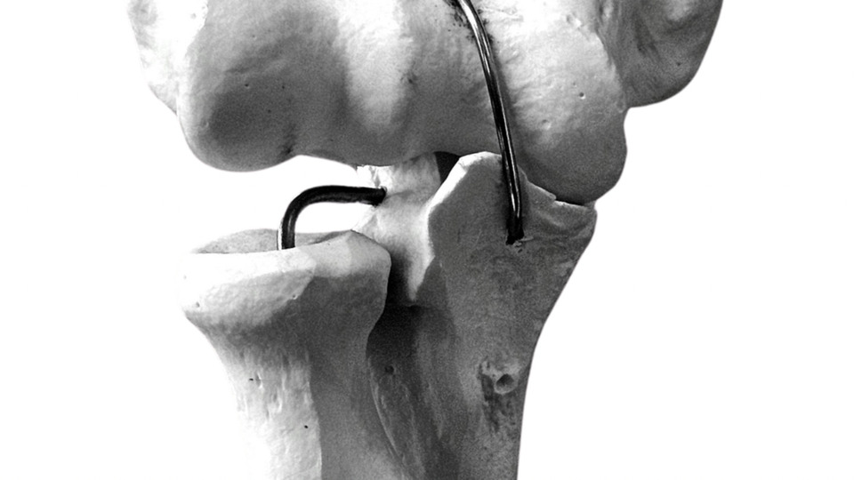 Offering Image