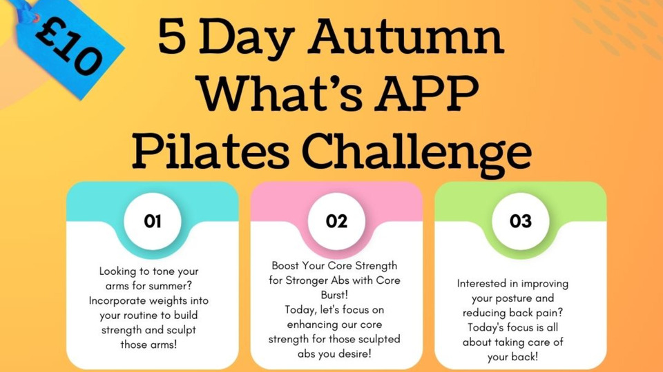 5 Day On Line Pilates Challenge