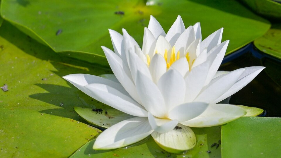 Deepen Your Practice