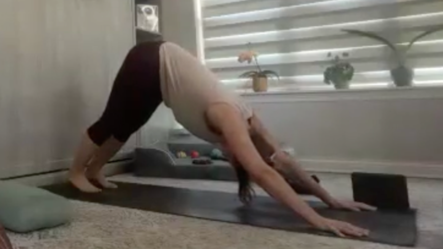 Gentle Yoga Flow: Rooted in the Whole Practice