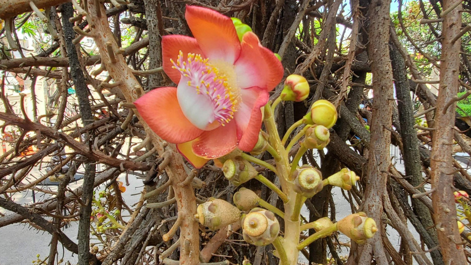 You & Yoga Package - 4 x 60mins - Private