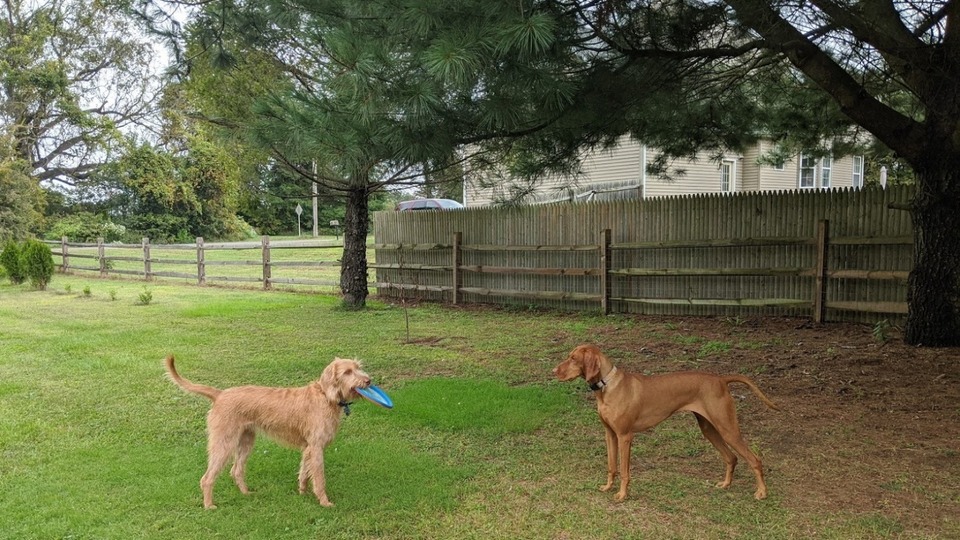 Semi-Private Yoga *60 Minute* Package