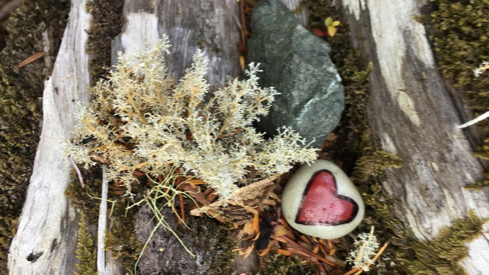 Offering Image