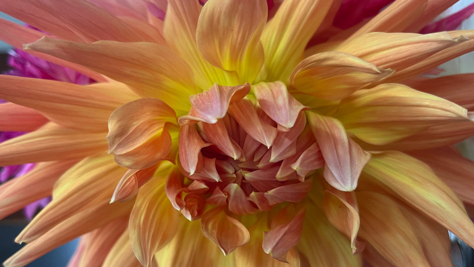 Offering Image
