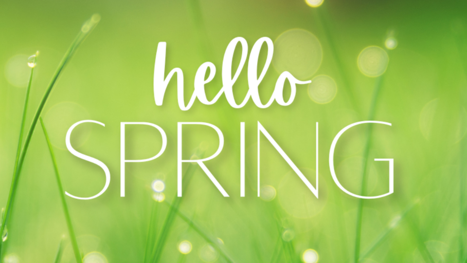 Spring in the Garden Drop in session May 5th