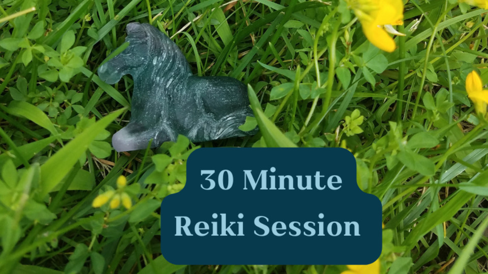 Three 30 Minute Distance Reiki Sessions