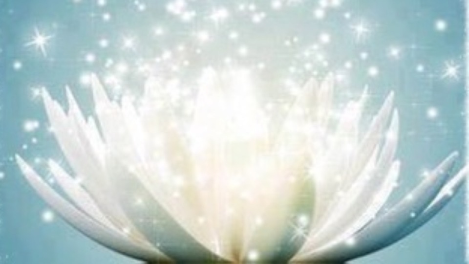 Offering Image