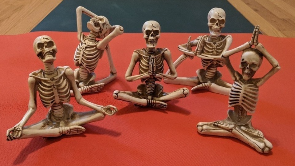 Yoga for Strong Bones Series *GROUP CLASS* Package