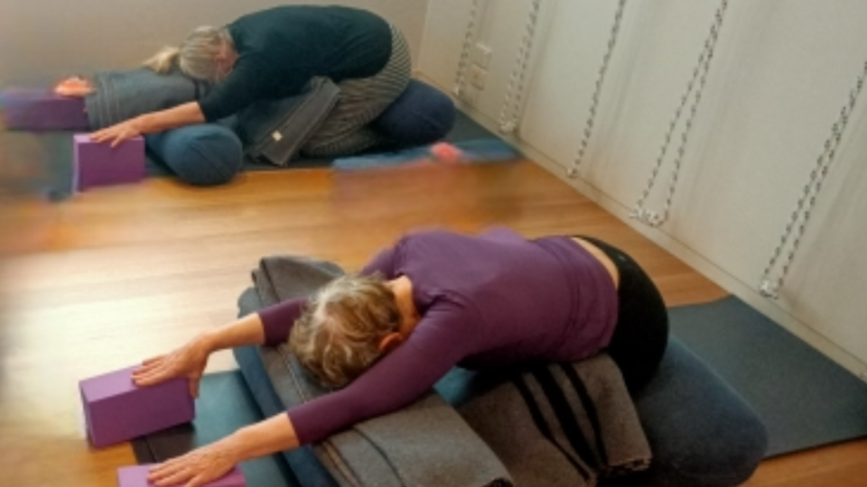 Gentle Therapy Class