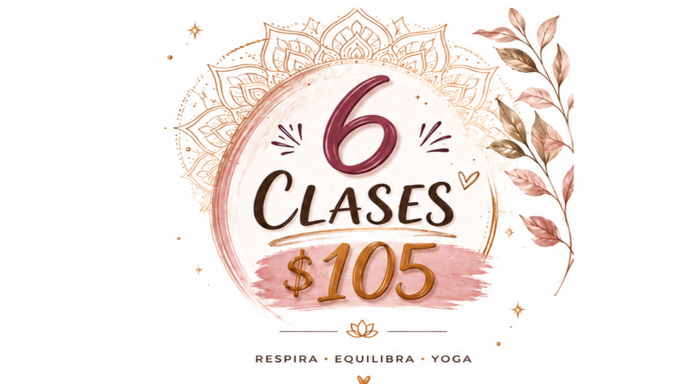 6 clases por $105
