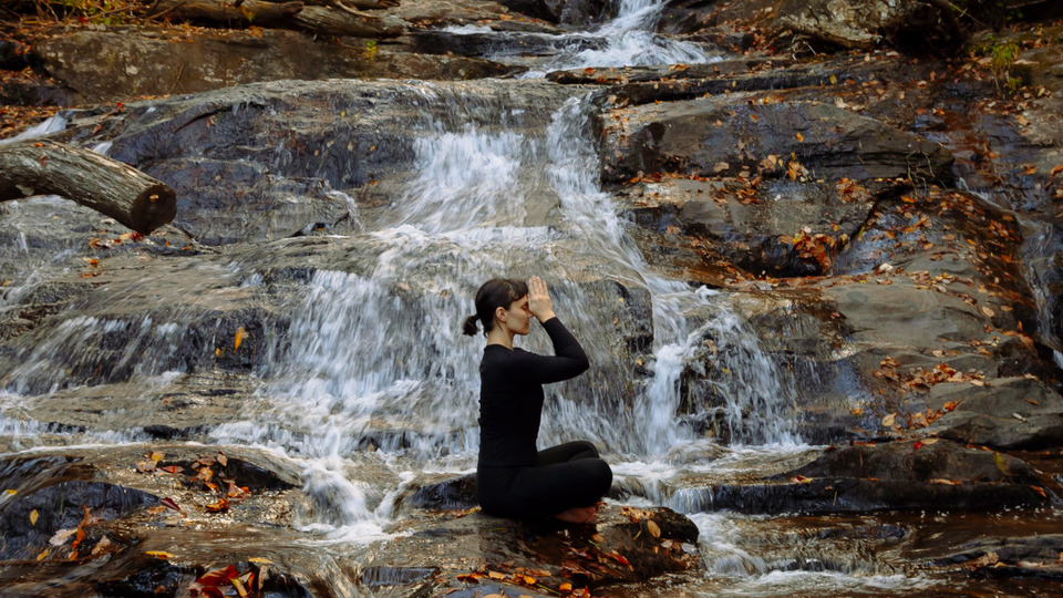 Offering Image