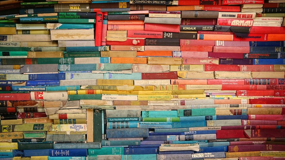 Red Star TX Book Club: Face the World & Brave the Storm