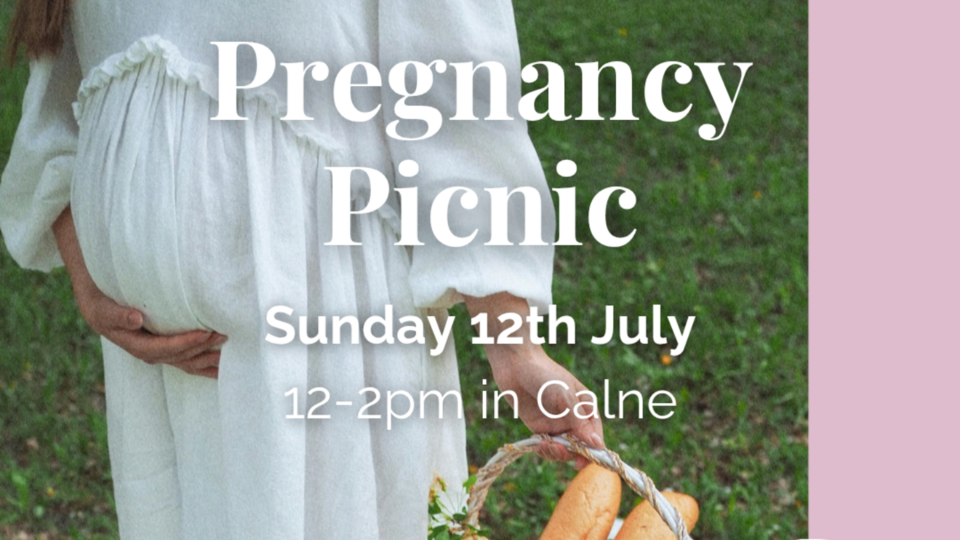 Pregnancy Picnic