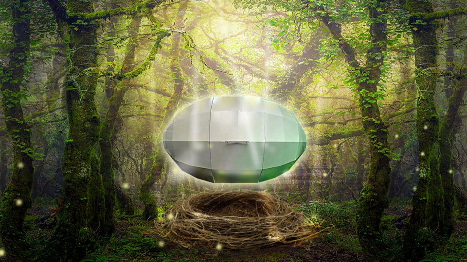 HOLISTIC FESTIVAL SPECIAL - HARMONIC RESET