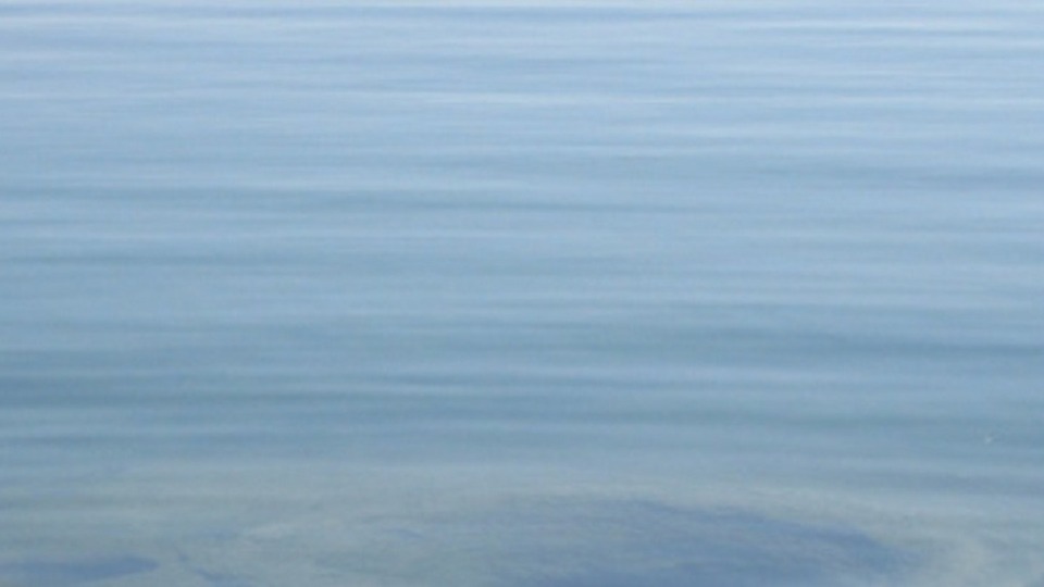 Unlimited Online Classes for Seniors & Underemployed