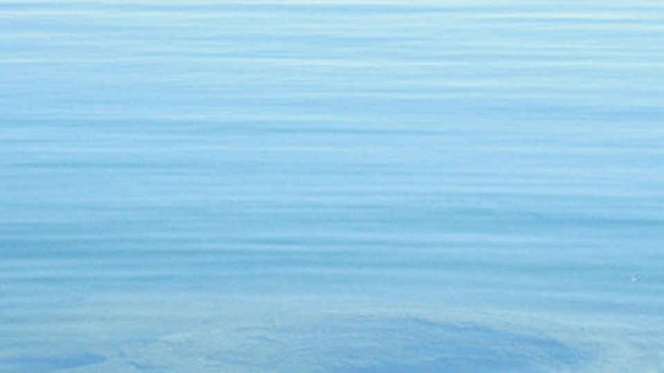 Offering Image