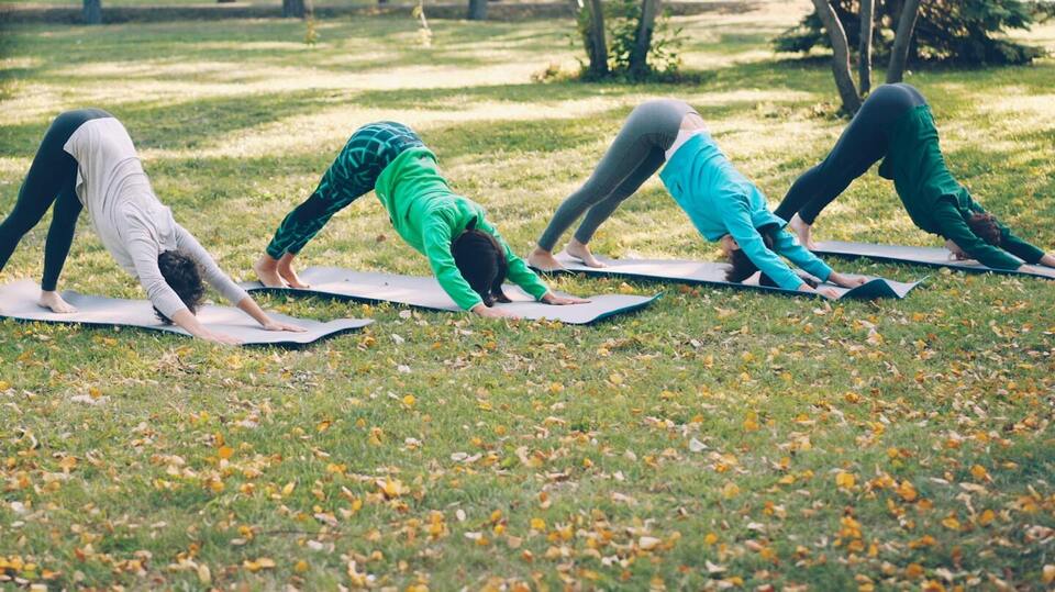 Yoga In the Backyard