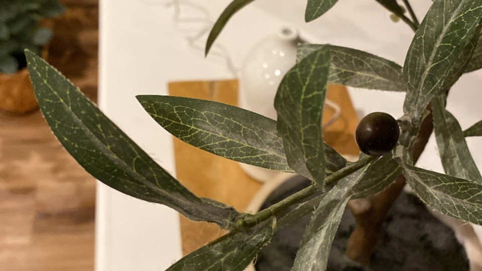 Intro offer: 25% off 4 class package