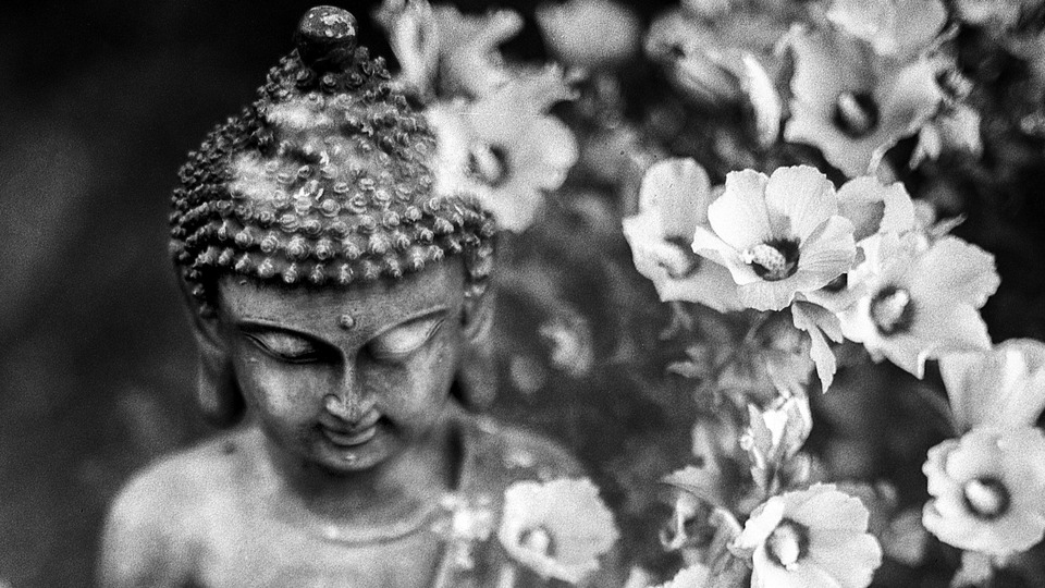 Offering Image